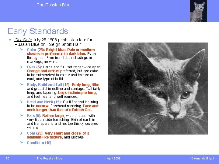 The Russian Blue Early Standards § Our Cats July 25 1908 prints standard for