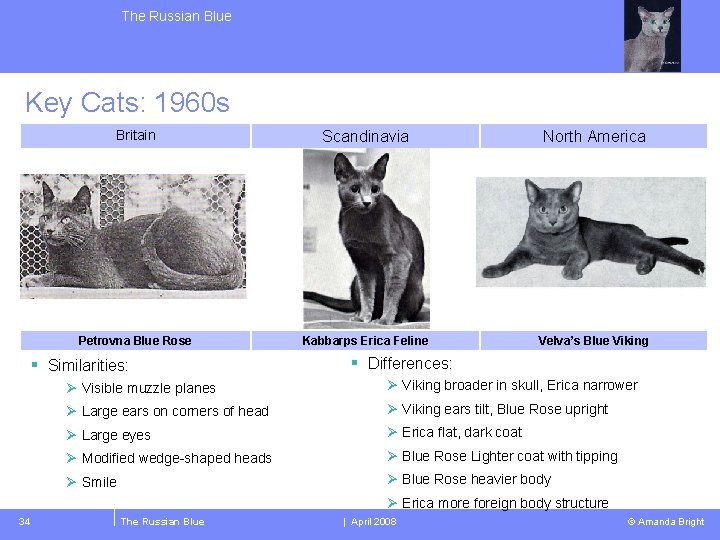 The Russian Blue Key Cats: 1960 s Britain Scandinavia North America Petrovna Blue Rose