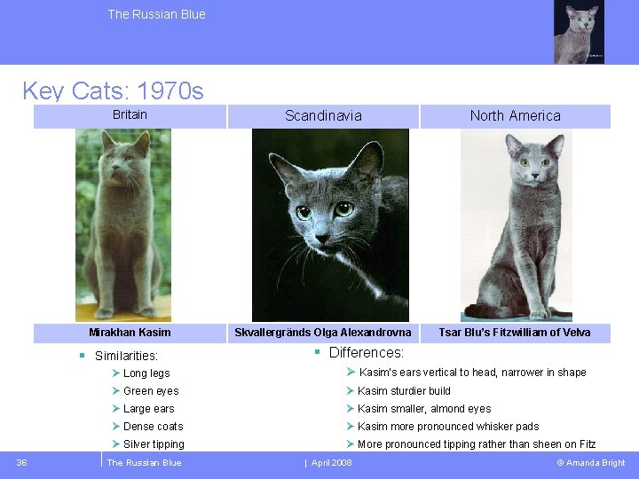 The Russian Blue Key Cats: 1970 s Britain Scandinavia North America Mirakhan Kasim Skvallergränds