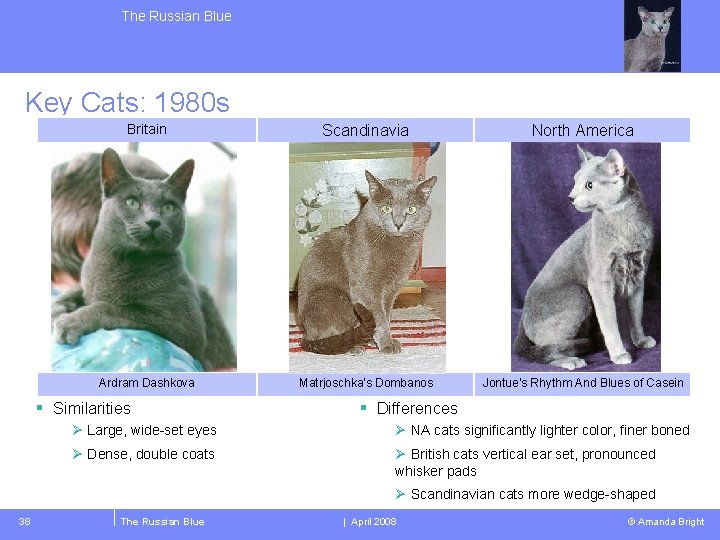 The Russian Blue Key Cats: 1980 s Britain Scandinavia North America Ardram Dashkova Matrjoschka’s