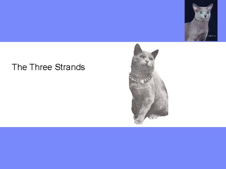 The Three Strands 