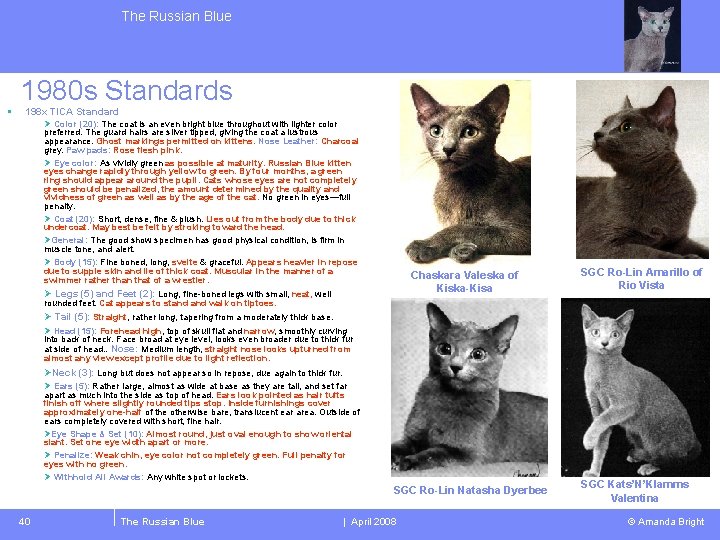 The Russian Blue § 1980 s Standards 198 x TICA Standard Ø Color (20):