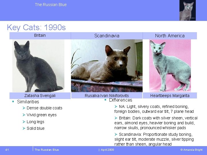 The Russian Blue Key Cats: 1990 s Britain Scandinavia North America Zatasha Svengali Rusalka