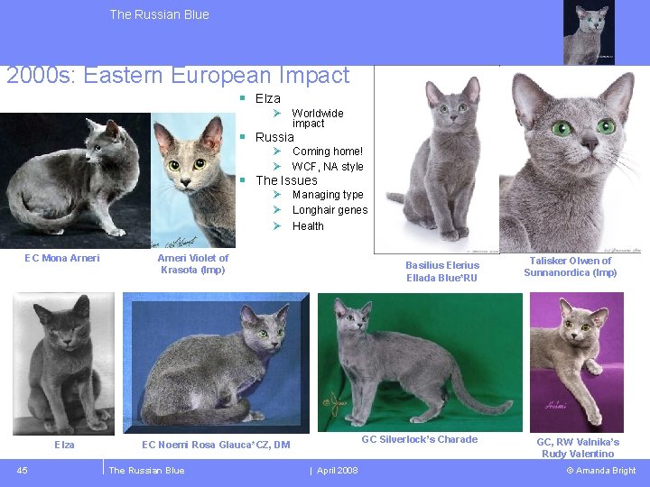 The Russian Blue 2000 s: Eastern European Impact § Elza Ø Worldwide impact §