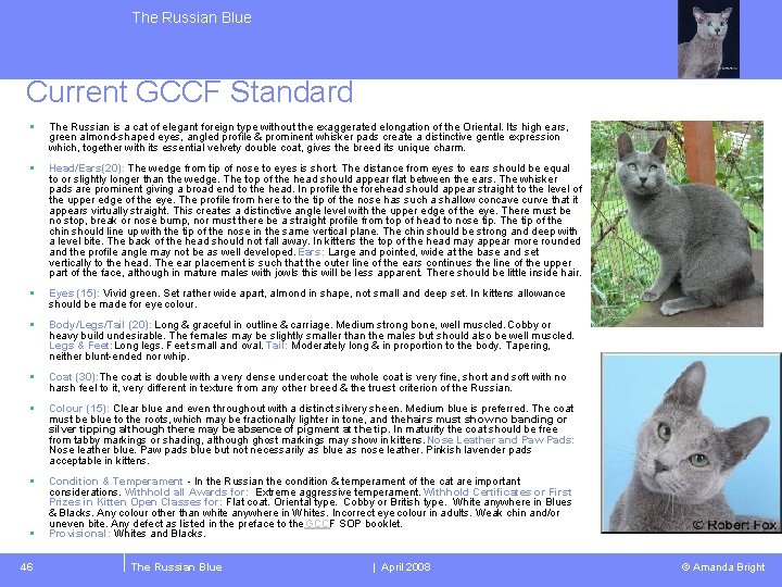 The Russian Blue Current GCCF Standard § The Russian is a cat of elegant