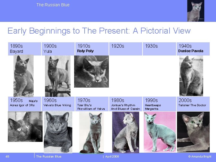 The Russian Blue Early Beginnings to The Present: A Pictorial View 1890 s 1900