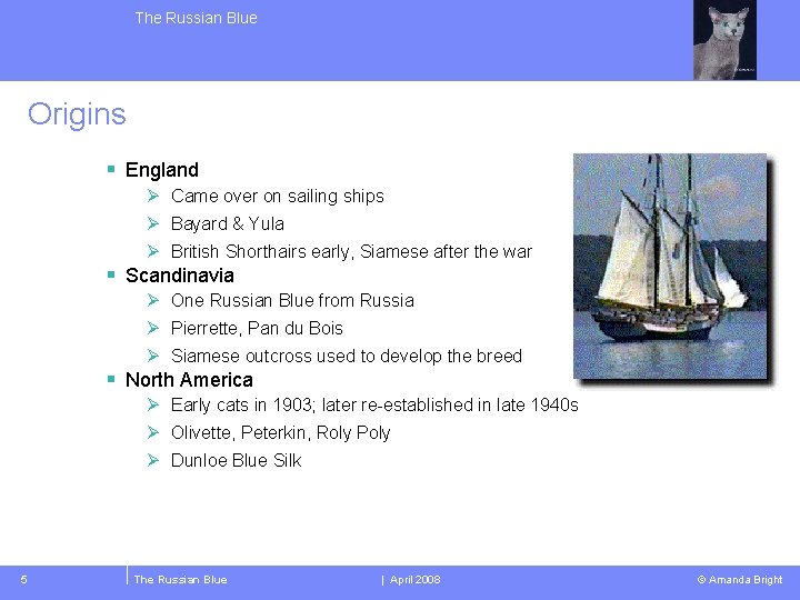 The Russian Blue Origins § England Ø Came over on sailing ships Ø Bayard