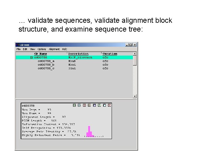 … validate sequences, validate alignment block structure, and examine sequence tree: 