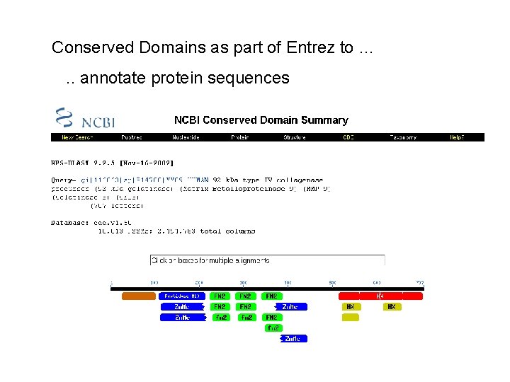 Conserved Domains as part of Entrez to …. . annotate protein sequences 
