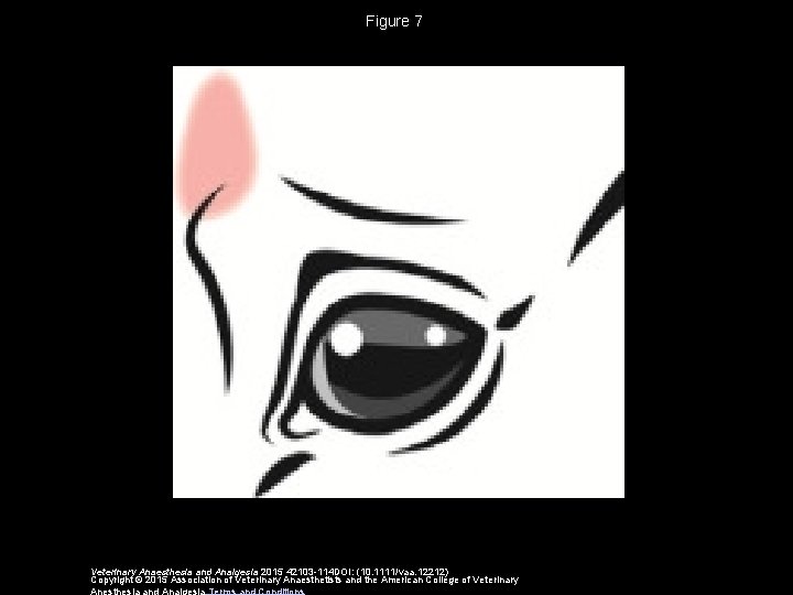 Figure 7 Veterinary Anaesthesia and Analgesia 2015 42103 -114 DOI: (10. 1111/vaa. 12212) Copyright