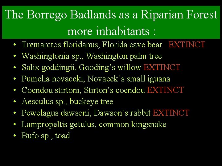 The Borrego Badlands as a Riparian Forest more inhabitants : • • • Tremarctos