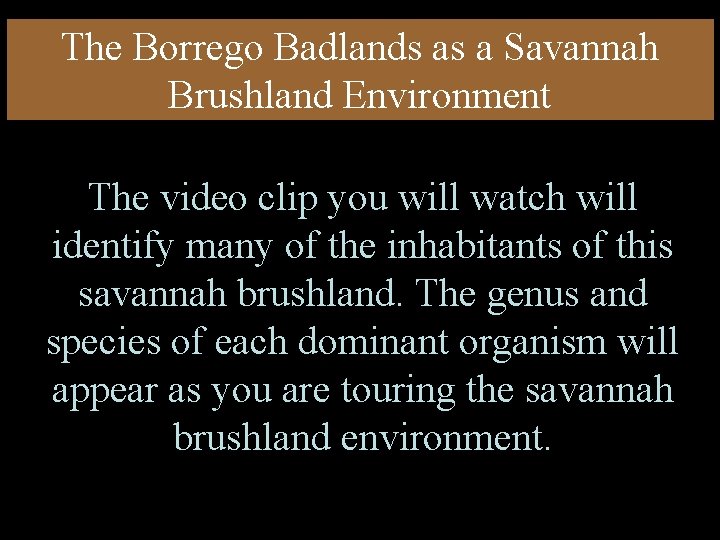 The Borrego Badlands as a Savannah Brushland Environment The video clip you will watch