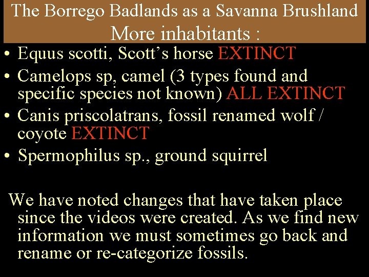 The Borrego Badlands as a Savanna Brushland More inhabitants : • Equus scotti, Scott’s