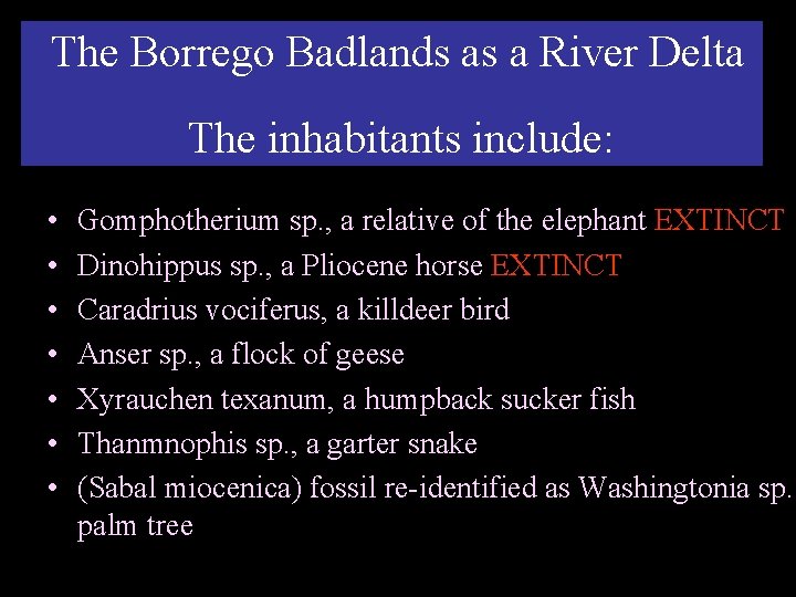 The Borrego Badlands as a River Delta The inhabitants include: • • Gomphotherium sp.