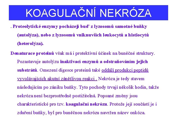 KOAGULAČNÍ NEKRÓZA. Proteolytické enzymy pocházejí buď z lyzosomů samotné buňky (autolýza), nebo z lyzosomů