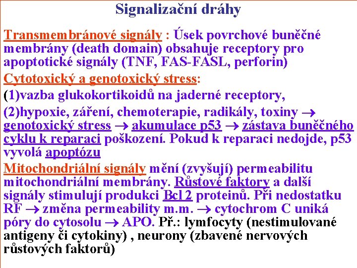 Signalizační dráhy Transmembránové signály : Úsek povrchové buněčné membrány (death domain) obsahuje receptory pro