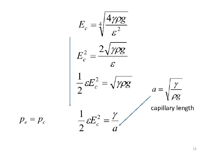 capillary length 12 
