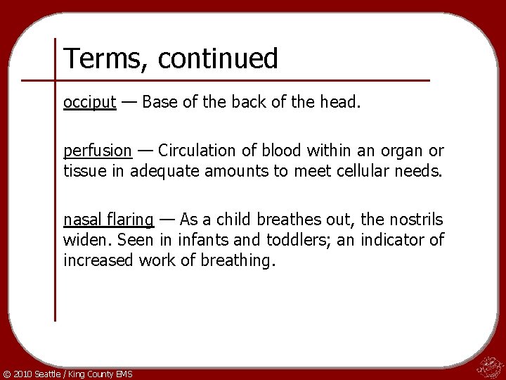 Terms, continued occiput — Base of the back of the head. perfusion — Circulation