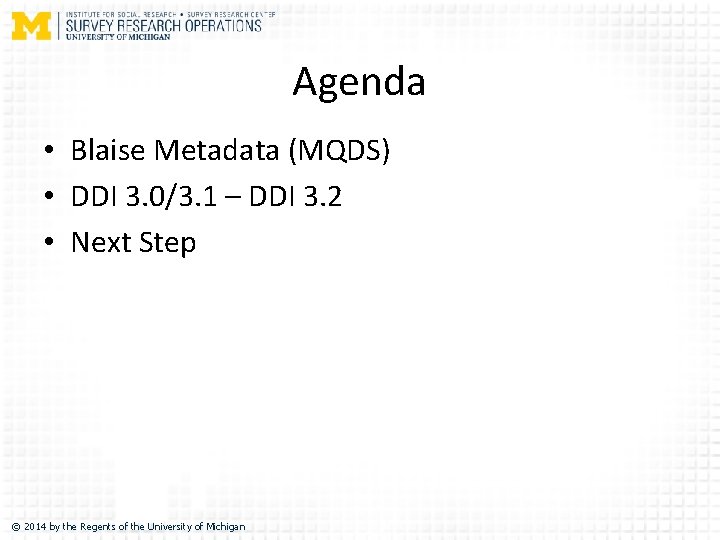 Agenda • Blaise Metadata (MQDS) • DDI 3. 0/3. 1 – DDI 3. 2