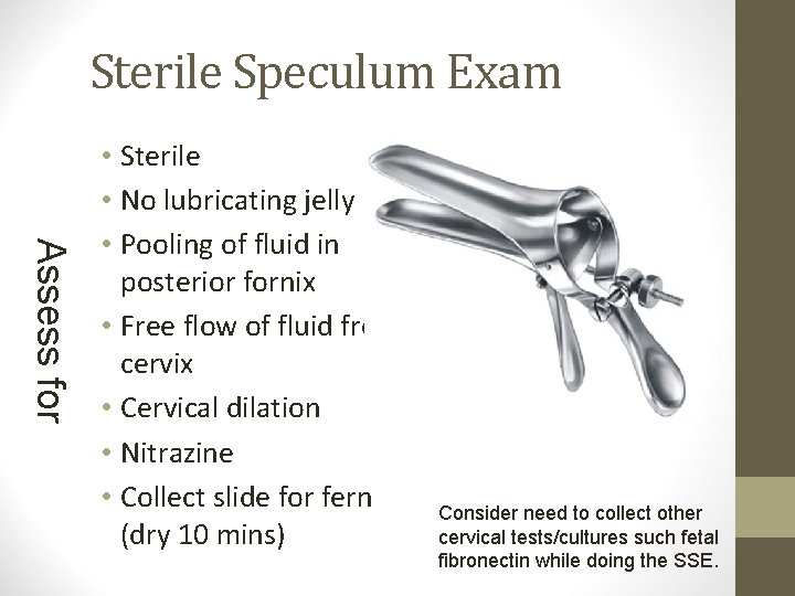 Sterile Speculum Exam Assess for • Sterile • No lubricating jelly • Pooling of