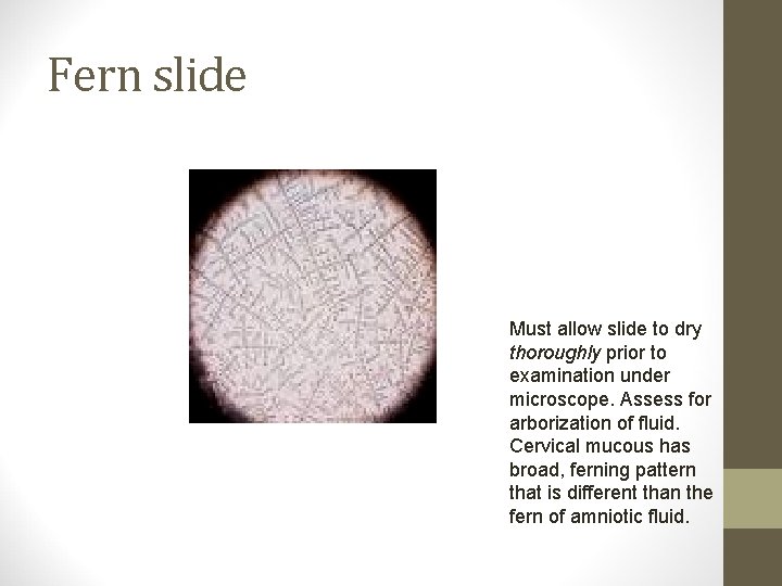 Fern slide Must allow slide to dry thoroughly prior to examination under microscope. Assess