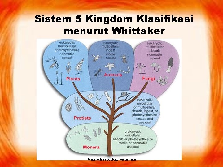 Sistem 5 Kingdom Klasifikasi menurut Whittaker Mata Kuliah Zoology Vertebrata 