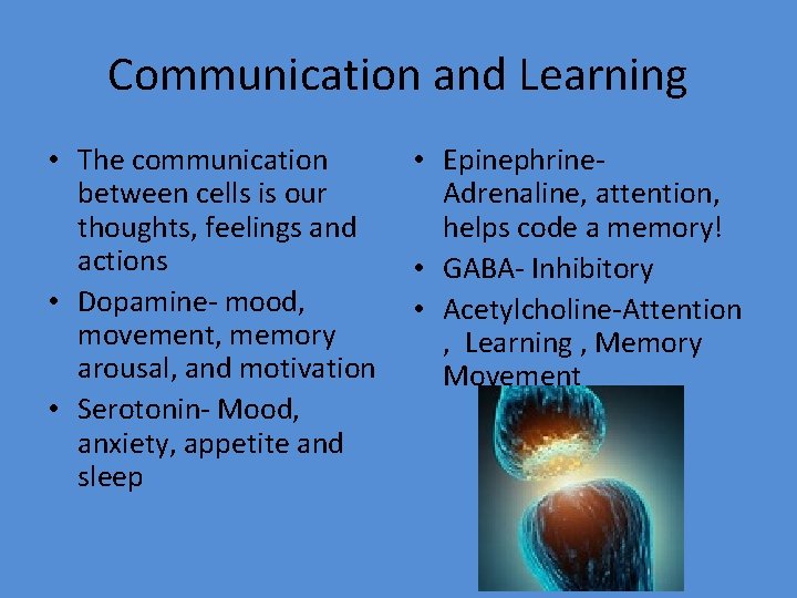 Communication and Learning • The communication between cells is our thoughts, feelings and actions