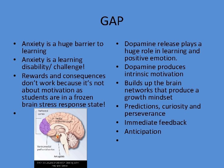 GAP • Anxiety is a huge barrier to learning • Anxiety is a learning