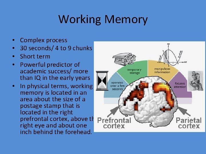 Working Memory Complex process 30 seconds/ 4 to 9 chunks Short term Powerful predictor
