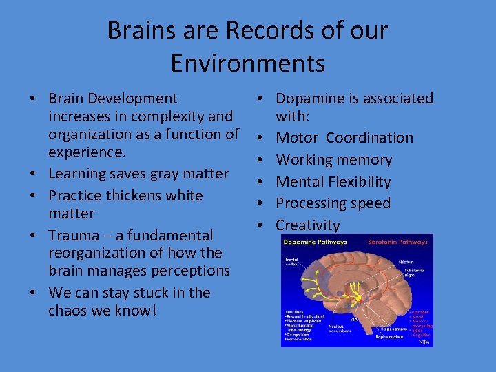 Brains are Records of our Environments • Brain Development increases in complexity and organization