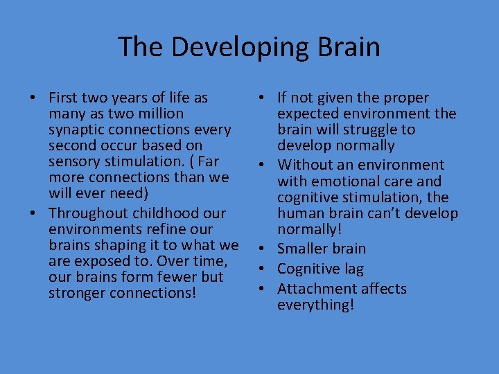 The Developing Brain • First two years of life as many as two million