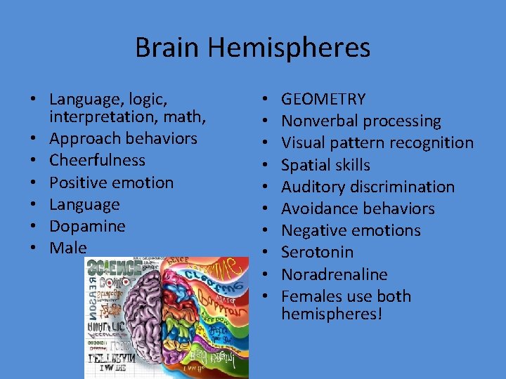 Brain Hemispheres • Language, logic, interpretation, math, • Approach behaviors • Cheerfulness • Positive