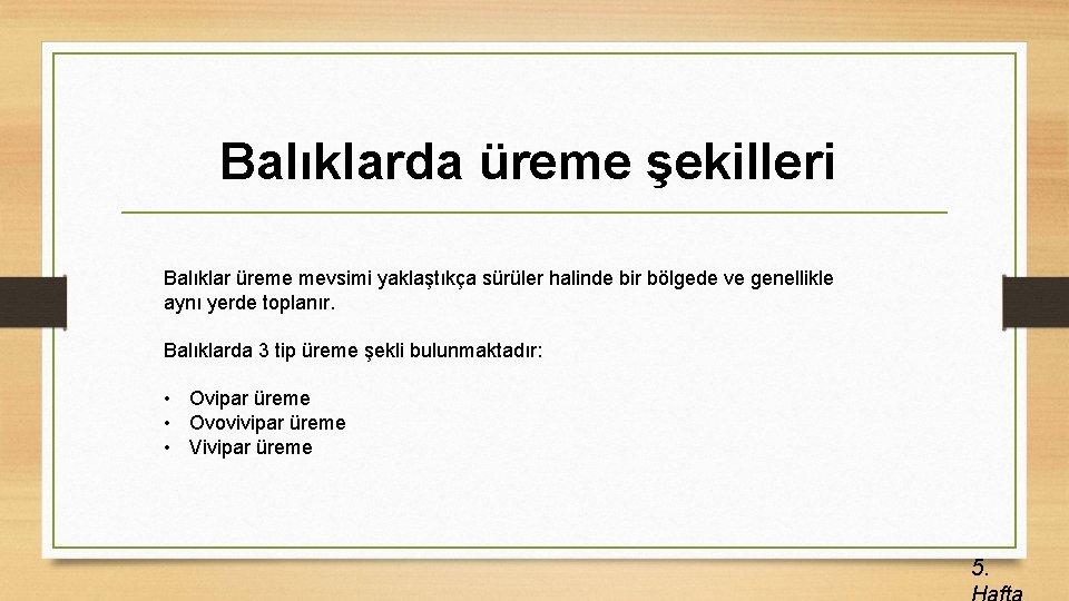 Balıklarda üreme şekilleri Balıklar üreme mevsimi yaklaştıkça sürüler halinde bir bölgede ve genellikle aynı
