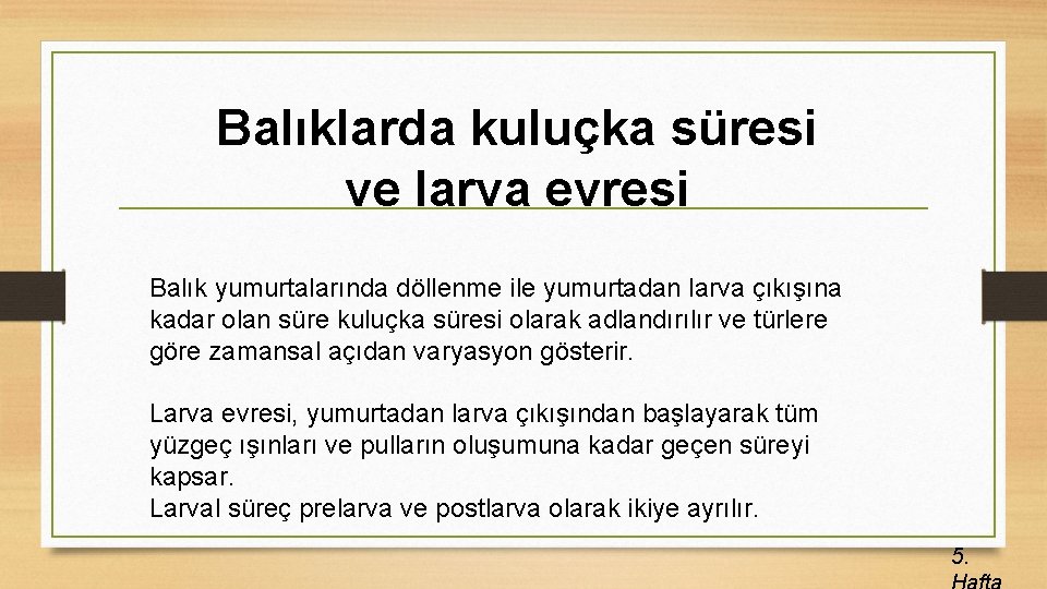 Balıklarda kuluçka süresi ve larva evresi Balık yumurtalarında döllenme ile yumurtadan larva çıkışına kadar