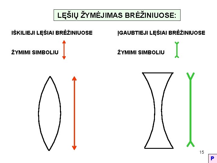 LĘŠIŲ ŽYMĖJIMAS BRĖŽINIUOSE: IŠKILIEJI LĘŠIAI BRĖŽINIUOSE ĮGAUBTIEJI LĘŠIAI BRĖŽINIUOSE ŽYMIMI SIMBOLIU 15 P 