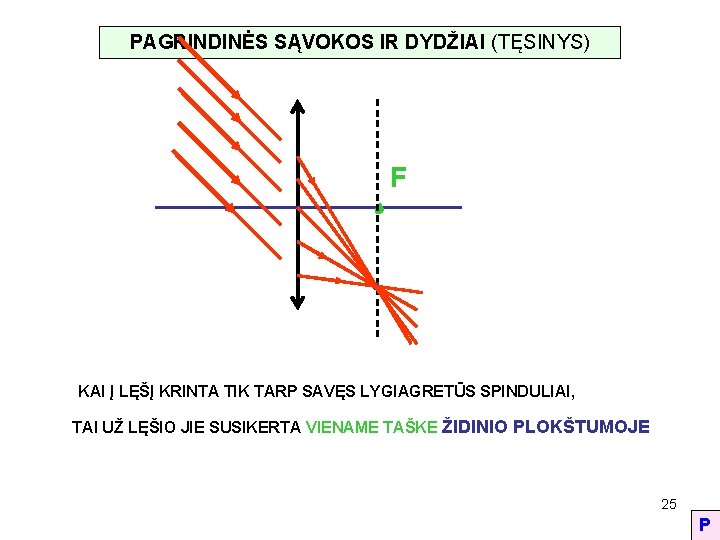 PAGRINDINĖS SĄVOKOS IR DYDŽIAI (TĘSINYS) F KAI Į LĘŠĮ KRINTA TIK TARP SAVĘS LYGIAGRETŪS