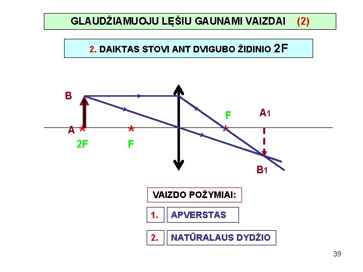 GLAUDŽIAMUOJU LĘŠIU GAUNAMI VAIZDAI (2) 2. DAIKTAS STOVI ANT DVIGUBO ŽIDINIO 2 F B