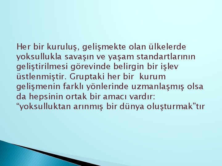 Her bir kuruluş, gelişmekte olan ülkelerde yoksullukla savaşın ve yaşam standartlarının geliştirilmesi görevinde belirgin