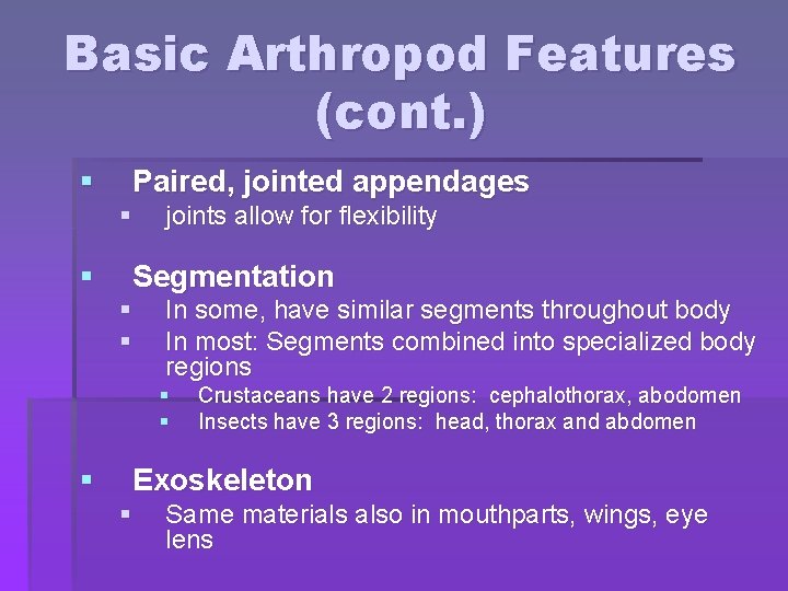 Basic Arthropod Features (cont. ) § Paired, jointed appendages § § joints allow for