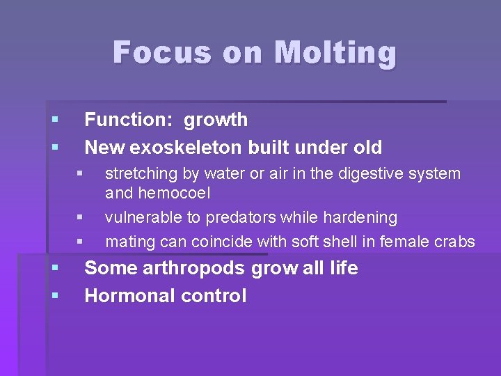 Focus on Molting § § Function: growth New exoskeleton built under old § §