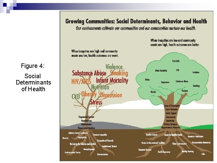 Figure 4: Social Determinants of Health 