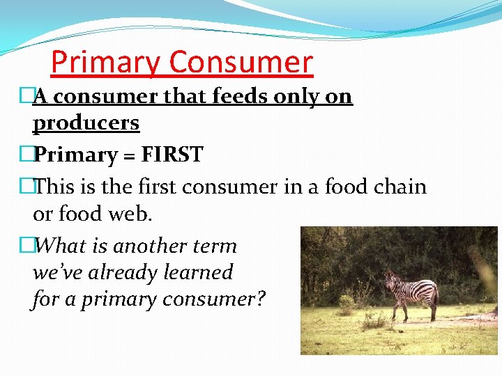 Primary Consumer �A consumer that feeds only on producers �Primary = FIRST �This is