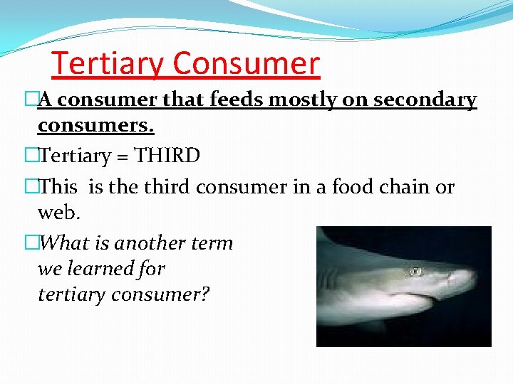 Tertiary Consumer �A consumer that feeds mostly on secondary consumers. �Tertiary = THIRD �This