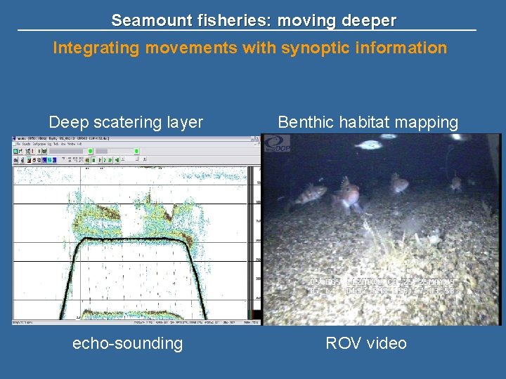 Seamount fisheries: moving deeper Integrating movements with synoptic information Deep scatering layer Benthic habitat