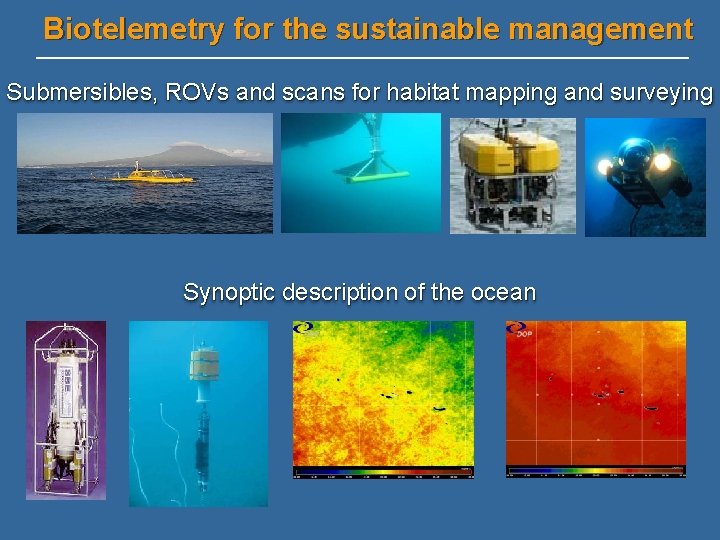 Biotelemetry for the sustainable management Submersibles, ROVs and scans for habitat mapping and surveying