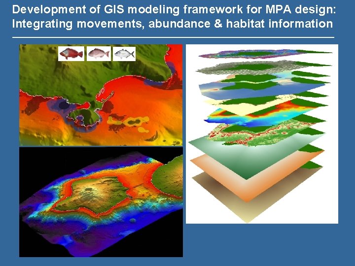 Development of GIS modeling framework for MPA design: Integrating movements, abundance & habitat information