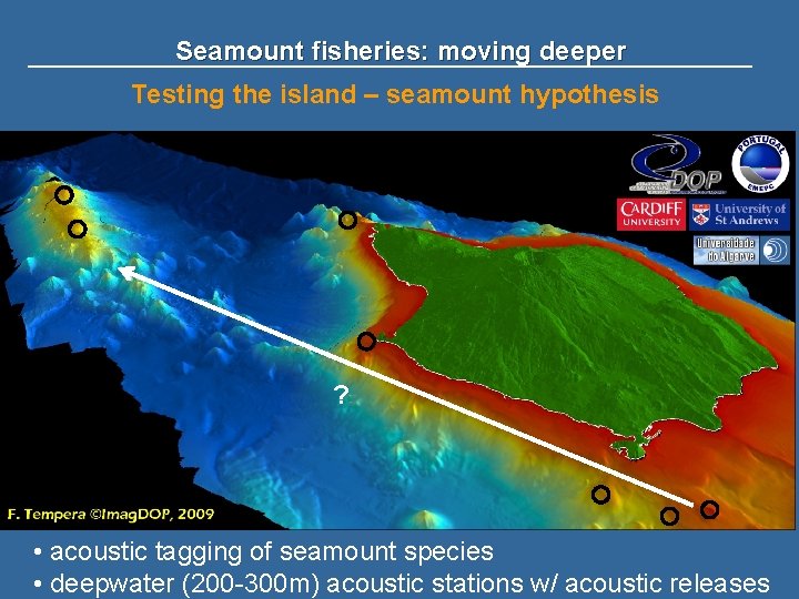 Seamount fisheries: moving deeper Testing the island – seamount hypothesis ? • acoustic tagging