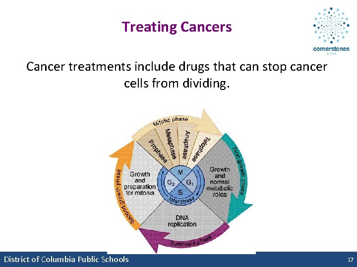 Treating Cancers Cancer treatments include drugs that can stop cancer cells from dividing. District