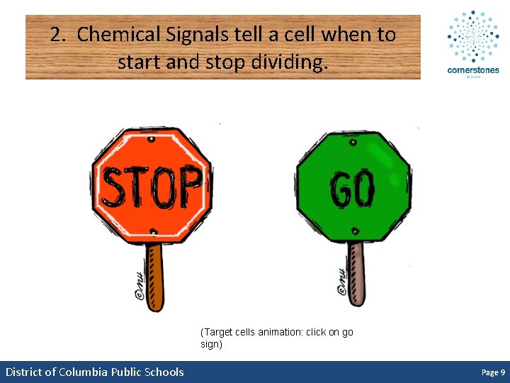 2. Chemical Signals tell a cell when to start and stop dividing. (Target cells