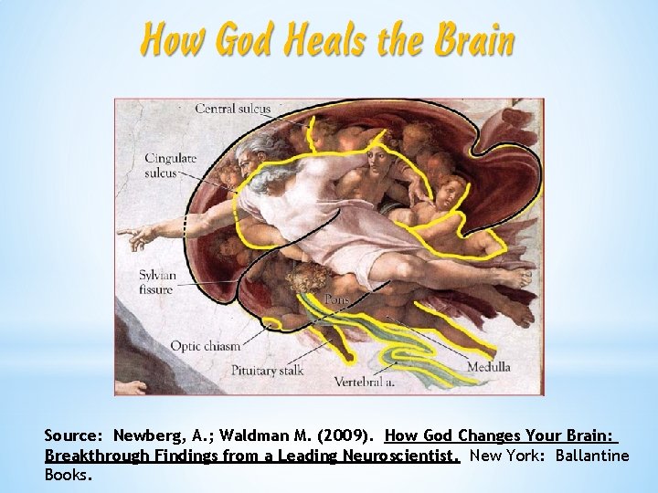 Source: Newberg, A. ; Waldman M. (2009). How God Changes Your Brain: Breakthrough Findings